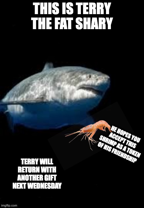 This is Terry. | THIS IS TERRY THE FAT SHARY; HE HOPES YOU ACCEPT THIS SHRIMP AS A TOKEN OF HIS FRIENDSHIP; TERRY WILL RETURN WITH ANOTHER GIFT NEXT WEDNESDAY | image tagged in terry the fat shark template | made w/ Imgflip meme maker