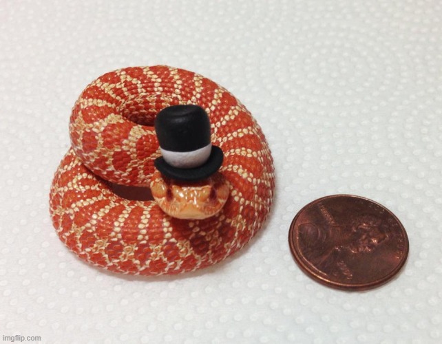 fancy snek | made w/ Imgflip meme maker