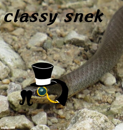 snek | image tagged in snek | made w/ Imgflip meme maker