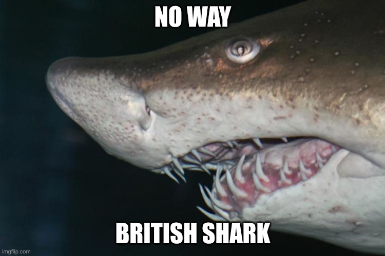 NO WAY; BRITISH SHARK | made w/ Imgflip meme maker