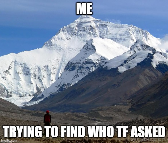 Man looking @ Everest | ME; TRYING TO FIND WHO TF ASKED | image tagged in man looking everest | made w/ Imgflip meme maker