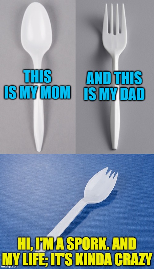 My only purpose in life is to be used to eat crappy Cole Slaw at a picnic! | AND THIS IS MY DAD; THIS IS MY MOM; HI, I'M A SPORK. AND MY LIFE; IT'S KINDA CRAZY | image tagged in memes,life,plastic utensils | made w/ Imgflip meme maker