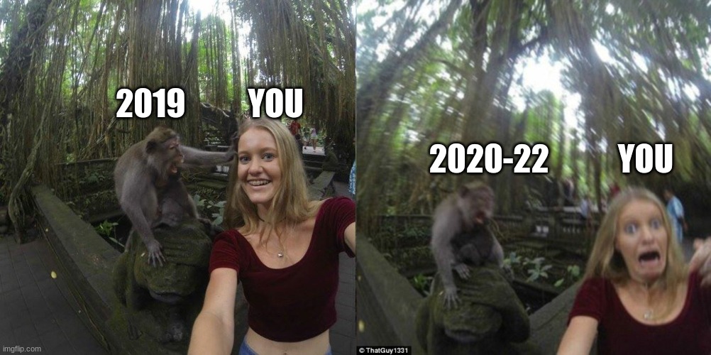 Monkey Girl | 2019          YOU; 2020-22           YOU | image tagged in monkey girl,memes | made w/ Imgflip meme maker