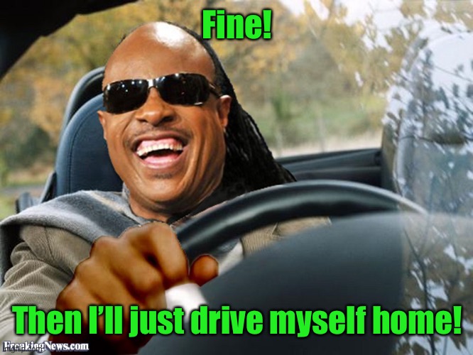 Stevie Wonder Driving | Fine! Then I’ll just drive myself home! | image tagged in stevie wonder driving | made w/ Imgflip meme maker