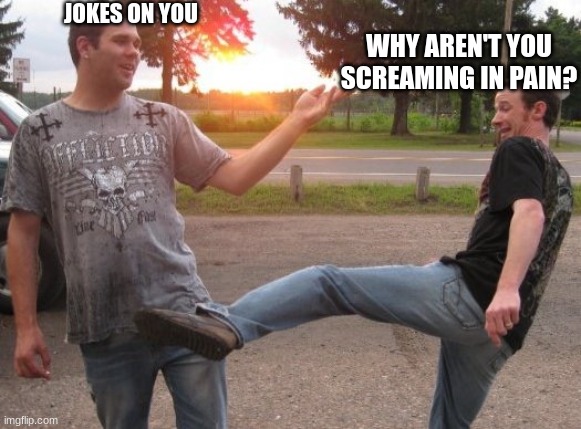 Nut shot | JOKES ON YOU WHY AREN'T YOU SCREAMING IN PAIN? | image tagged in nut shot | made w/ Imgflip meme maker