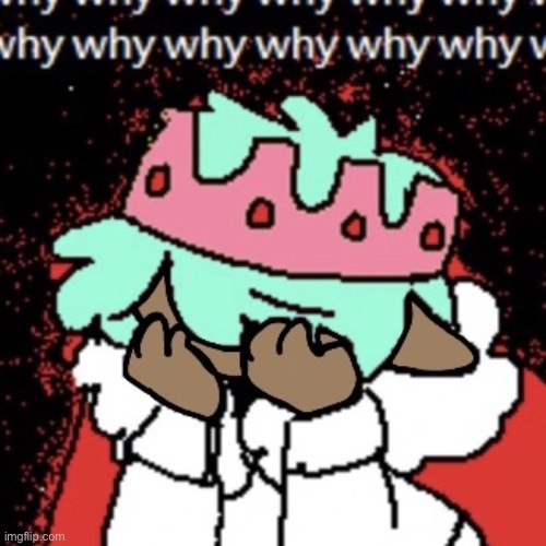 w h y | image tagged in w h y | made w/ Imgflip meme maker