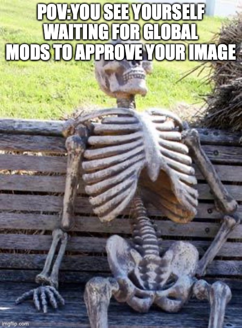 You'll die before the approve it | POV:YOU SEE YOURSELF WAITING FOR GLOBAL MODS TO APPROVE YOUR IMAGE | image tagged in memes,waiting skeleton | made w/ Imgflip meme maker
