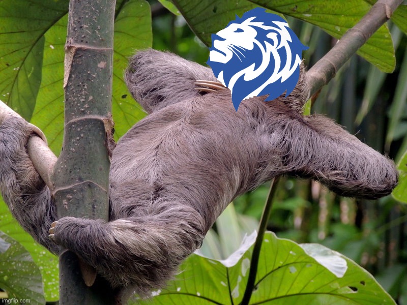 Conservative Party sloth Blank Meme Template