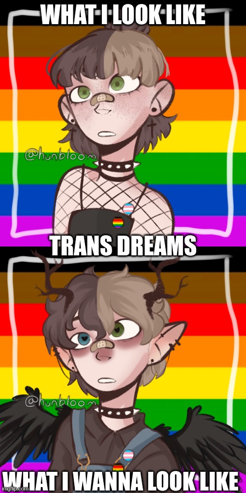 WHAT I LOOK LIKE; TRANS DREAMS; WHAT I WANNA LOOK LIKE | made w/ Imgflip meme maker