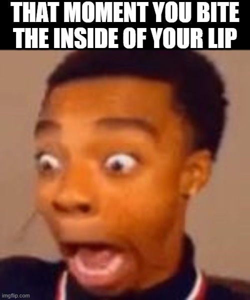 flight screams | THAT MOMENT YOU BITE THE INSIDE OF YOUR LIP | image tagged in flight screams | made w/ Imgflip meme maker