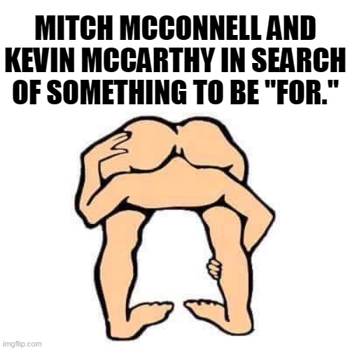 MITCH MCCONNELL AND KEVIN MCCARTHY IN SEARCH OF SOMETHING TO BE "FOR." | image tagged in mitch mcconnell,republican,no,ideas,goals,bankruptcy | made w/ Imgflip meme maker