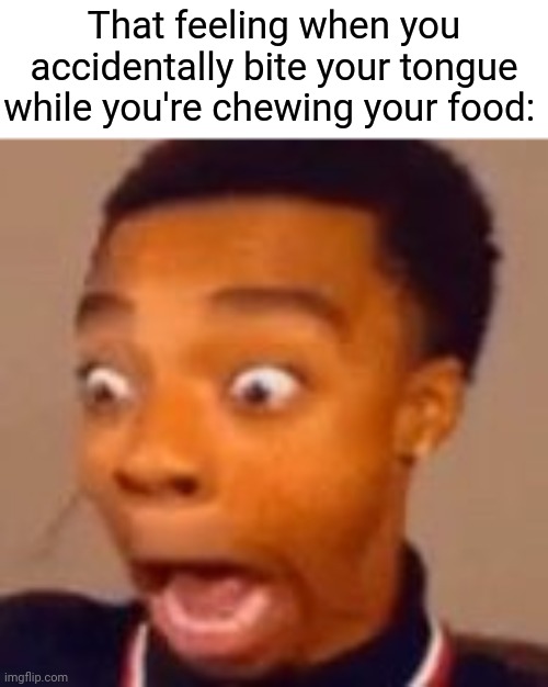 Chewing food | That feeling when you accidentally bite your tongue while you're chewing your food: | image tagged in flight screams,tongue,memes,meme,chewing,food | made w/ Imgflip meme maker
