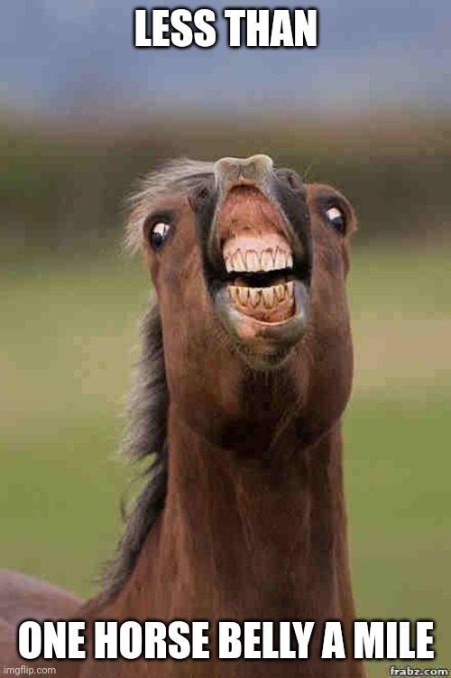 horse face | LESS THAN ONE HORSE BELLY A MILE | image tagged in horse face | made w/ Imgflip meme maker