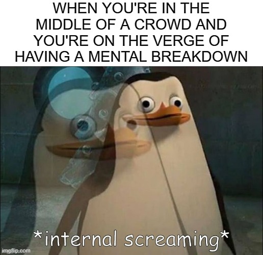 Private Internal Screaming | WHEN YOU'RE IN THE MIDDLE OF A CROWD AND YOU'RE ON THE VERGE OF HAVING A MENTAL BREAKDOWN | image tagged in private internal screaming | made w/ Imgflip meme maker