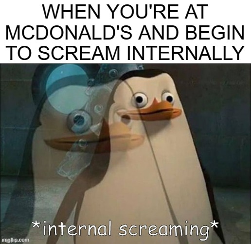 WAS THIS RELATABLEEEEE???????????? | WHEN YOU'RE AT MCDONALD'S AND BEGIN TO SCREAM INTERNALLY | image tagged in private internal screaming | made w/ Imgflip meme maker