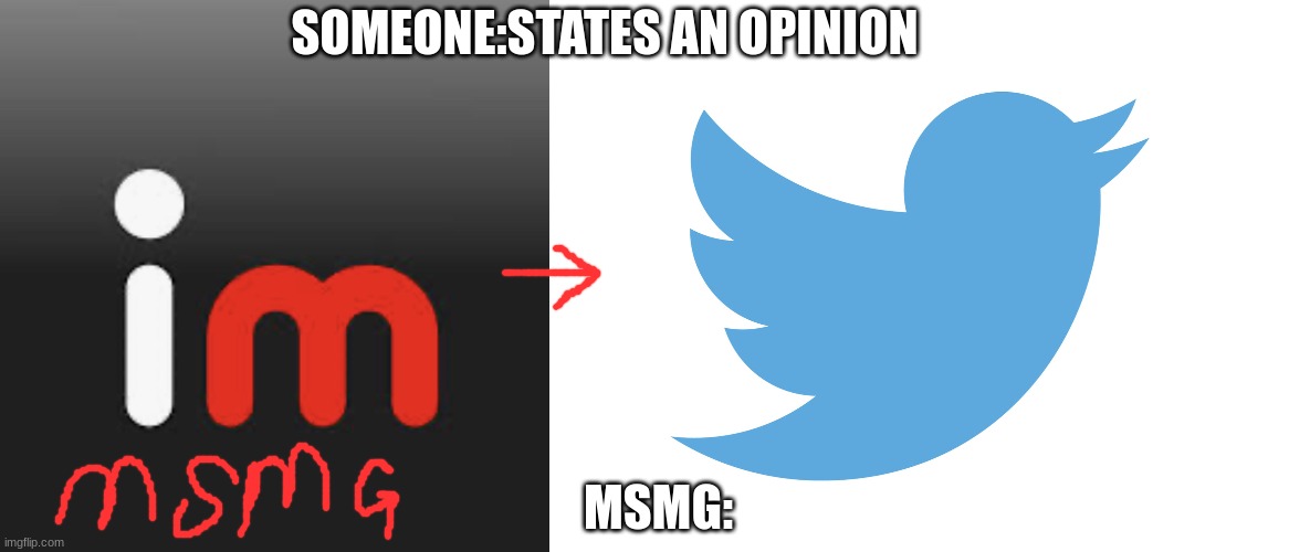 i find this humorous | SOMEONE:STATES AN OPINION; MSMG: | made w/ Imgflip meme maker