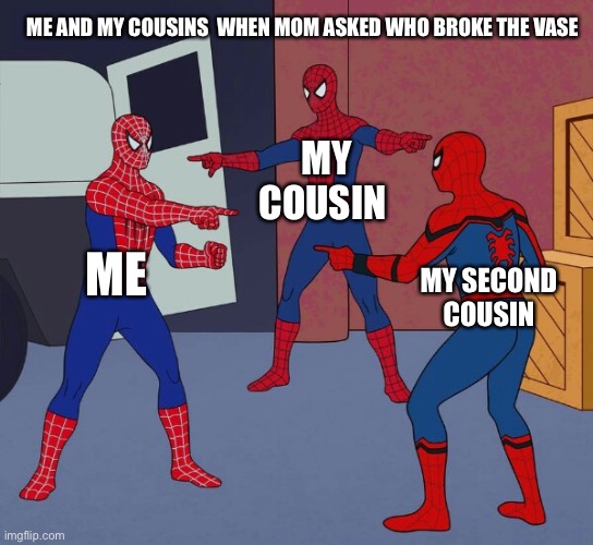Spider Man Triple | ME AND MY COUSINS  WHEN MOM ASKED WHO BROKE THE VASE; MY COUSIN; ME; MY SECOND COUSIN | image tagged in spider man triple | made w/ Imgflip meme maker