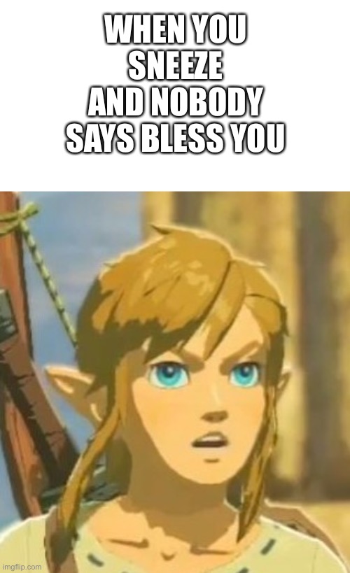 Funny | WHEN YOU SNEEZE AND NOBODY SAYS BLESS YOU | image tagged in offended link,memes | made w/ Imgflip meme maker