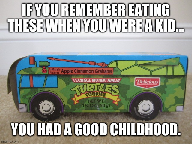I liked having the cardboard bus more than eating the cookies... | IF YOU REMEMBER EATING THESE WHEN YOU WERE A KID... YOU HAD A GOOD CHILDHOOD. | image tagged in teenage mutant ninja turtles,ninja turtles,cookies,childhood | made w/ Imgflip meme maker