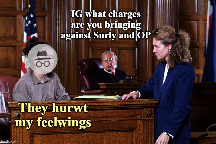 Courtroom | IG what charges are you bringing against Surly and OP They hurwt my feelwings | image tagged in courtroom | made w/ Imgflip meme maker