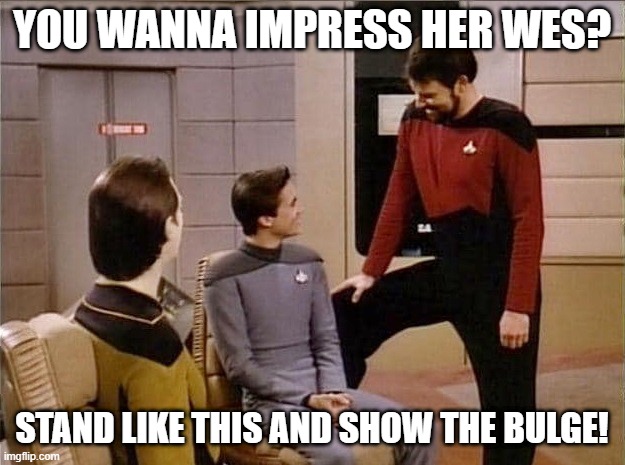 Attract a Mate | YOU WANNA IMPRESS HER WES? STAND LIKE THIS AND SHOW THE BULGE! | image tagged in riker talking to wesley | made w/ Imgflip meme maker