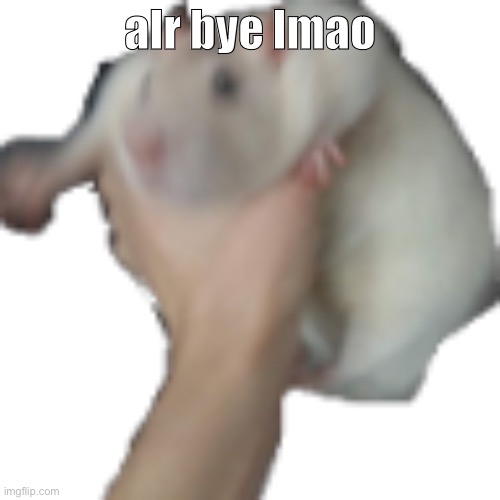 the he | alr bye lmao | image tagged in the he | made w/ Imgflip meme maker