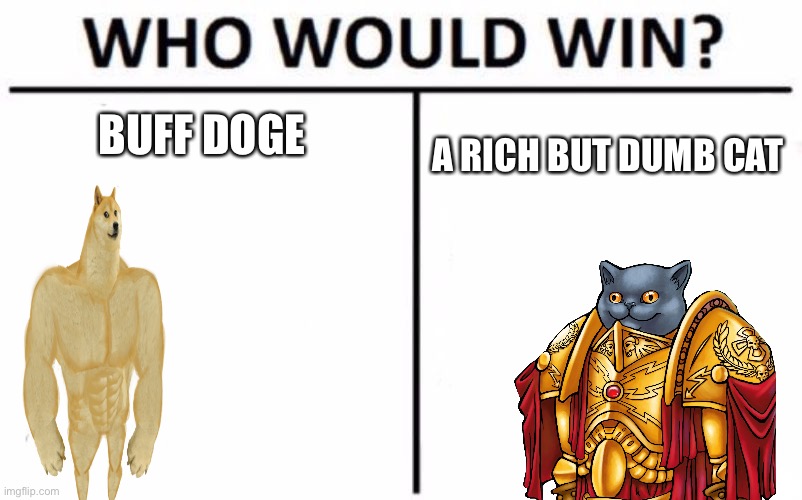 Who Would Win? | BUFF DOGE; A RICH BUT DUMB CAT | image tagged in memes,who would win | made w/ Imgflip meme maker