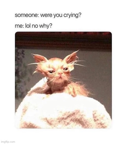 • | made w/ Imgflip meme maker