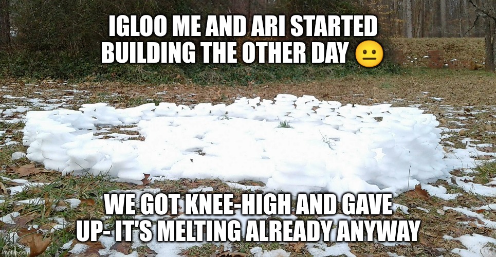 IGLOO ME AND ARI STARTED BUILDING THE OTHER DAY 😐; WE GOT KNEE-HIGH AND GAVE UP- IT'S MELTING ALREADY ANYWAY | made w/ Imgflip meme maker