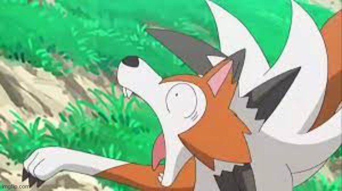 Lycanroc surprized | image tagged in lycanroc surprized | made w/ Imgflip meme maker