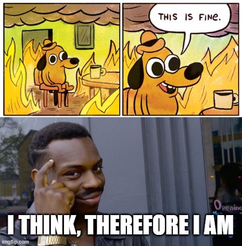 Only philosophy nerds will get this one | I THINK, THEREFORE I AM | image tagged in memes,this is fine,roll safe think about it | made w/ Imgflip meme maker