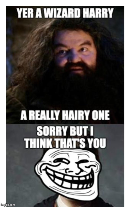 HAIR | image tagged in hair,harry potter,hagridandharry | made w/ Imgflip meme maker