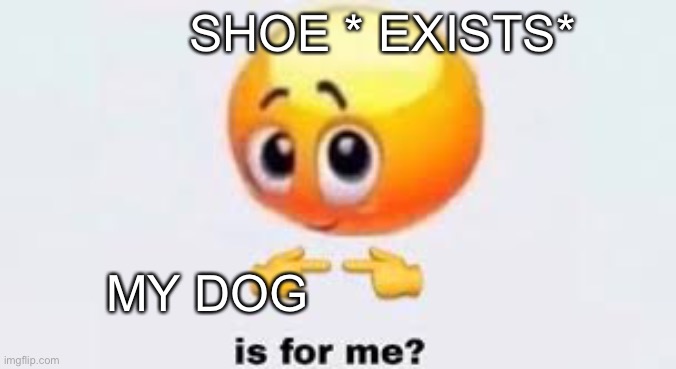Is for me |  SHOE * EXISTS*; MY DOG | image tagged in is for me | made w/ Imgflip meme maker