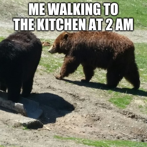 Hongry | ME WALKING TO THE KITCHEN AT 2 AM | image tagged in steppy bear | made w/ Imgflip meme maker