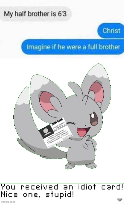 imagine if he was a full brother | image tagged in you received an idiot card,full brother,idiot | made w/ Imgflip meme maker