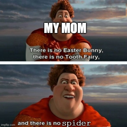 When me say there is spider: | MY MOM; spider | image tagged in tighten megamind there is no easter bunny | made w/ Imgflip meme maker