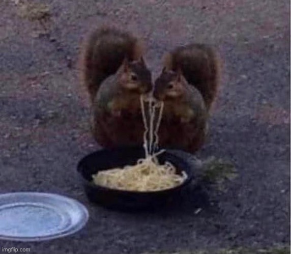 squirrels sharing noodles | made w/ Imgflip meme maker
