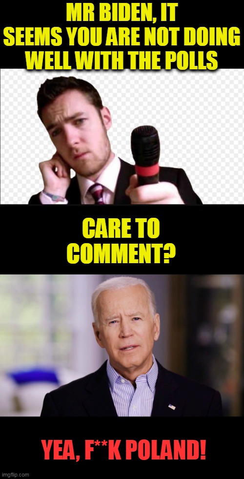 Pole,Poll | MR BIDEN, IT SEEMS YOU ARE NOT DOING WELL WITH THE POLLS; CARE TO COMMENT? YEA, F**K POLAND! | image tagged in joe biden 2020,dumb and dumber | made w/ Imgflip meme maker
