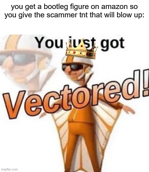 SCAM | you get a bootleg figure on amazon so you give the scammer tnt that will blow up: | image tagged in you just got vectored | made w/ Imgflip meme maker