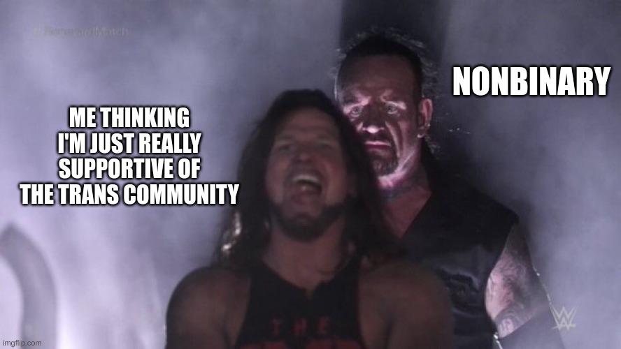 Anyone else like this? | NONBINARY; ME THINKING I'M JUST REALLY SUPPORTIVE OF THE TRANS COMMUNITY | image tagged in aj styles undertaker | made w/ Imgflip meme maker