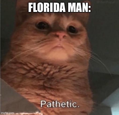 Pathetic Cat | FLORIDA MAN: | image tagged in pathetic cat | made w/ Imgflip meme maker