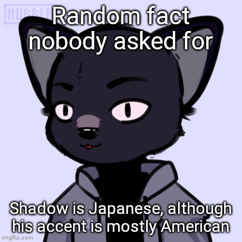 Random fact nobody asked for; Shadow is Japanese, although his accent is mostly American | made w/ Imgflip meme maker