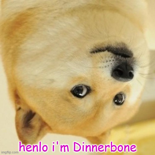 who just named Doge to Dinnerbone | henlo i'm Dinnerbone | image tagged in memes,doge,dinnerbone | made w/ Imgflip meme maker