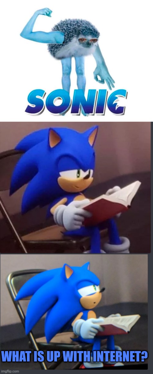 JUST STICK TO YOUR BOOK SONIC |  WHAT IS UP WITH INTERNET? | image tagged in sonic the hedgehog,sonic,wtf | made w/ Imgflip meme maker