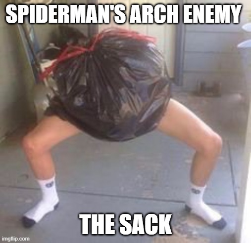 For those of you in this generation you may not remember spider-man on the electric company | SPIDERMAN'S ARCH ENEMY; THE SACK | image tagged in trash with legs,1970's,tv show,kids | made w/ Imgflip meme maker