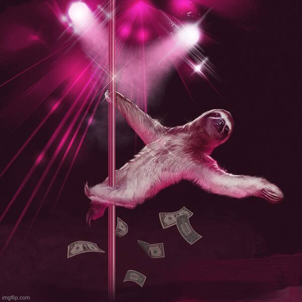 Stripper sloth | image tagged in stripper sloth | made w/ Imgflip meme maker