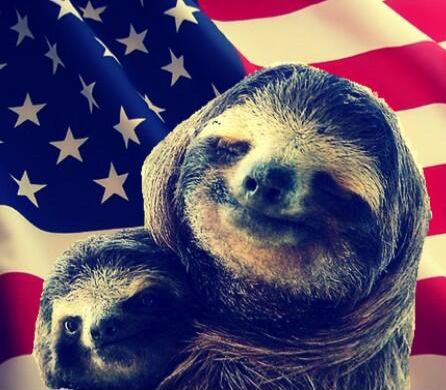 Patriotic sloths Blank Meme Template