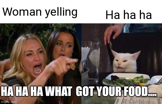 HA HA HA | Woman yelling; Ha ha ha; HA HA HA WHAT; GOT YOUR FOOD.... | image tagged in memes,woman yelling at cat | made w/ Imgflip meme maker