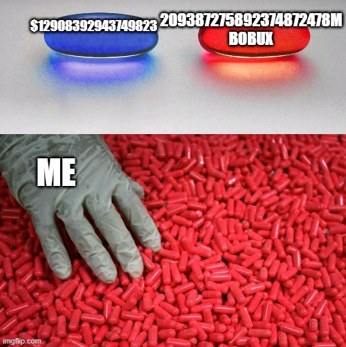 Robuc pls | 209387275892374872478M BOBUX; $12908392943749823; ME | image tagged in blue or red pill | made w/ Imgflip meme maker