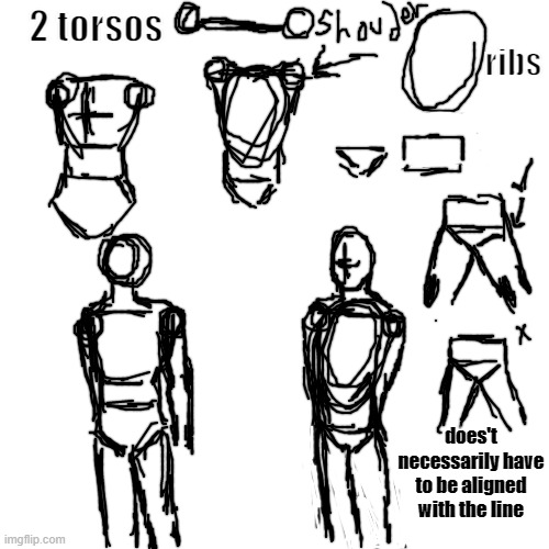 It's pretty mess, im using this acc to practice stylus anyway. hope this helps somehow | 2 torsos; ribs; does't necessarily have to be aligned with the line | image tagged in blank,drawing | made w/ Imgflip meme maker